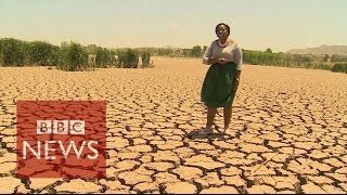 Worst drought in 30 years hits Sout Africa  BBC News [upl. by Harak]