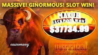 3773499 BUFFALO STAMPEDE SLOT MAJOR PROGRESSIVE WIN  MASSIVE WIN  Slot Machine Bonus [upl. by Nuawtna]