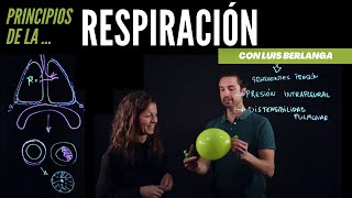 Ventilación pulmonar principios básicos de la respiración [upl. by Aikcin254]