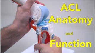 Anterior talofibular ligament test [upl. by Nojed]