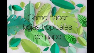 Cómo hacer Hojas Tropicales de papel [upl. by Close]