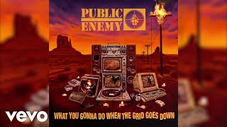 Public Enemy  RIP Blackat Audio [upl. by Aisetra597]