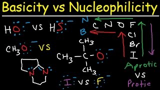 Basicity vs Nucleophilicity  Steric Hindrance [upl. by Andrey]