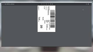 How to Print a Shipping Label from DHL Desktop  ZSB Series Printer [upl. by Demodena]