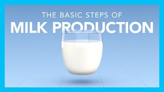 The basic steps of milk production [upl. by Etnud]