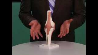 How To Rehab A Lateral Ankle Sprain [upl. by Charleen]