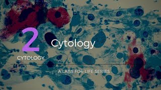 Cytology [upl. by Alecram]