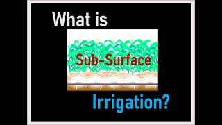 Subsurface Irrigation Method [upl. by Alihs]