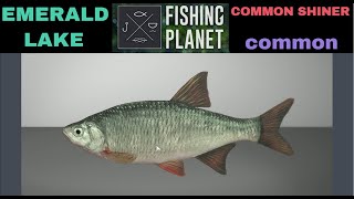 Fishing Planet Emerald Lake Common Shiner [upl. by Iluj77]