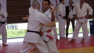 JUJITSU ETUDE 12 SÉRIES ATTAQUESDÉFENSES IMPOSEES [upl. by Uokes593]