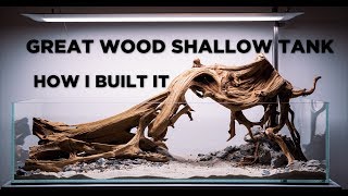 Great Wood shallow aquarium  Aquascaping tutorial [upl. by Rhoda]