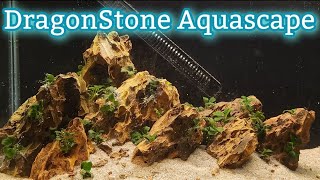 Aquascaping with Dragonstone A Step by Step Guide [upl. by Dawn15]