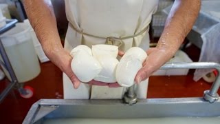 Making Mozzarella in Umbria Italy [upl. by Notlehs]