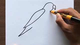 How to Draw a Parrot [upl. by Afinom]