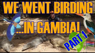 WE WENT BIRDING IN GAMBIA  PART 1 [upl. by Enninaej]