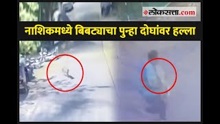 नाशिकमध्ये बिबट्याचा पुन्हा दोघांवर हल्ला  Leopard attack in Nashik [upl. by Denice]