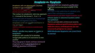 114P Anaplasia vs Dysplasia [upl. by Ocnarfnaig61]