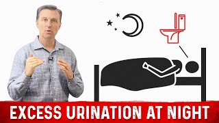 How to Fix Frequent Urination at Night Nocturia – Dr Berg [upl. by Rickart429]