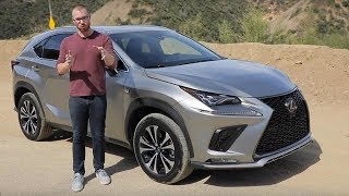 2020 Lexus NX 300 F Sport Test Drive Video Review [upl. by Anassor964]