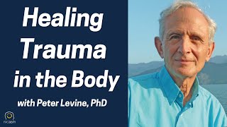 Healing Trauma in the Body with Peter Levine PhD [upl. by Xonk228]