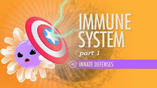 Immune System Part 1 Crash Course Anatomy amp Physiology 45 [upl. by Seen]