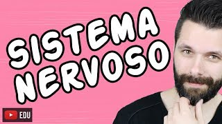 SISTEMA NERVOSO  FISIOLOGIA  Aula  Biologia com Samuel Cunha [upl. by Asiil]