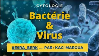 📍 BACTÉRIE ET VIRUS  CYTOLOGIE E9raberk Cytologie [upl. by Hartnett568]