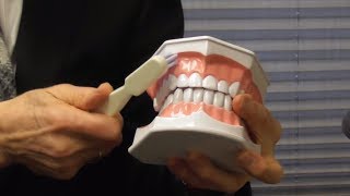 How to Brush Your Teeth With Gum Recession [upl. by Akerahs]