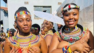 Traditional Zulu Reed Dance Ceremony A Celebration of Culture and Womanhood [upl. by Dinan]