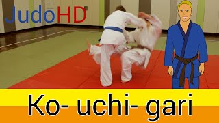 Gelb Orange Ko uchi gari Judo [upl. by Yssirc]