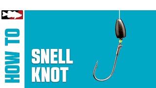 HowTo Tie a Snell Knot [upl. by Llezom]