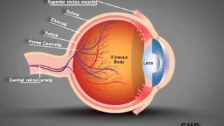 What is an eye diagram [upl. by Sheilah]