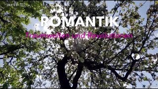 Epoche Romantik Zusammenfassung [upl. by Brigg]