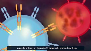 CAR TCell Therapy How Does It Work [upl. by Ahtivak]