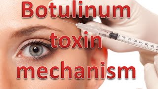 Botulinum toxin mechanism [upl. by Ibloc]