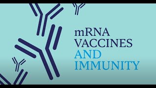 Mayo Clinic Insights How mRNA Vaccines Work [upl. by Hebel]