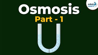 Osmosis and Water Potential Updated [upl. by Yajeet]