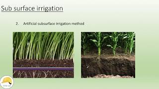 subsurface irrigation methods [upl. by Vani]