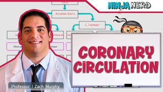 Circulatory System  Coronary Circulation [upl. by Lexy27]