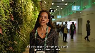 Edith Paredes at IUFRO 2024 [upl. by Krispin]