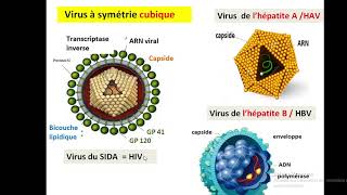 Cytologieبالعربية  1 Organisation generale de la cellule  Part 3 Les Virus [upl. by Sucramraj987]