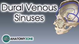 Understanding and Diagnosing Venous Thromboembolism VTE [upl. by Podvin]