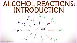 Introduction to Alcohol Properties and Reactions [upl. by Marigolda]