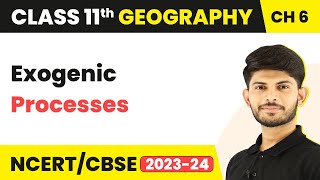 Exogenic Processes  Geomorphic Processes  Class 11 Geography [upl. by Einehpets]