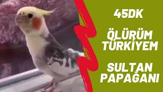 Sultan Papağanı Ölürüm Türkiyem 45 Dk Reklamsız uzunluğunda [upl. by Deery]