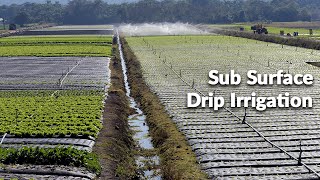 Sub Surface Drip Irrigation E [upl. by Lanae]