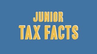 Junior Tax Facts [upl. by Mccafferty]