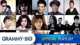 รวมเพลงฮิตฟังสบายๆ  MP3 Hits Playlist Vol4 GRAMMY BIG [upl. by Ziza986]