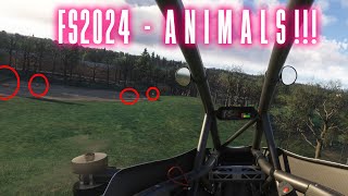 Finding ANIMALS in MSFS2024 [upl. by Halueb]