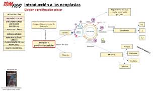 FISIOPATOLOGÍA NEOPLASIAS INTRODUCCIÓN I [upl. by Naget]